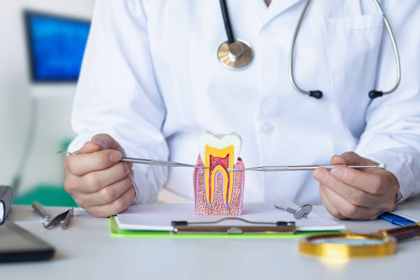 Best Urgent Dental Care for Toothache in Lonville, GA